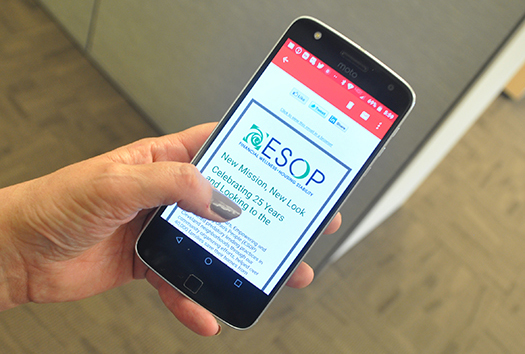 photo - newsletter on phone